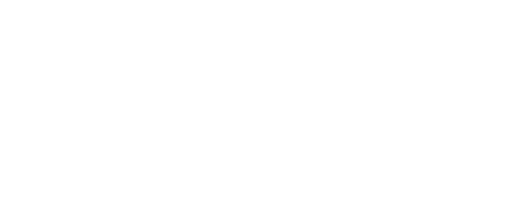 lone star contracting logo in white
