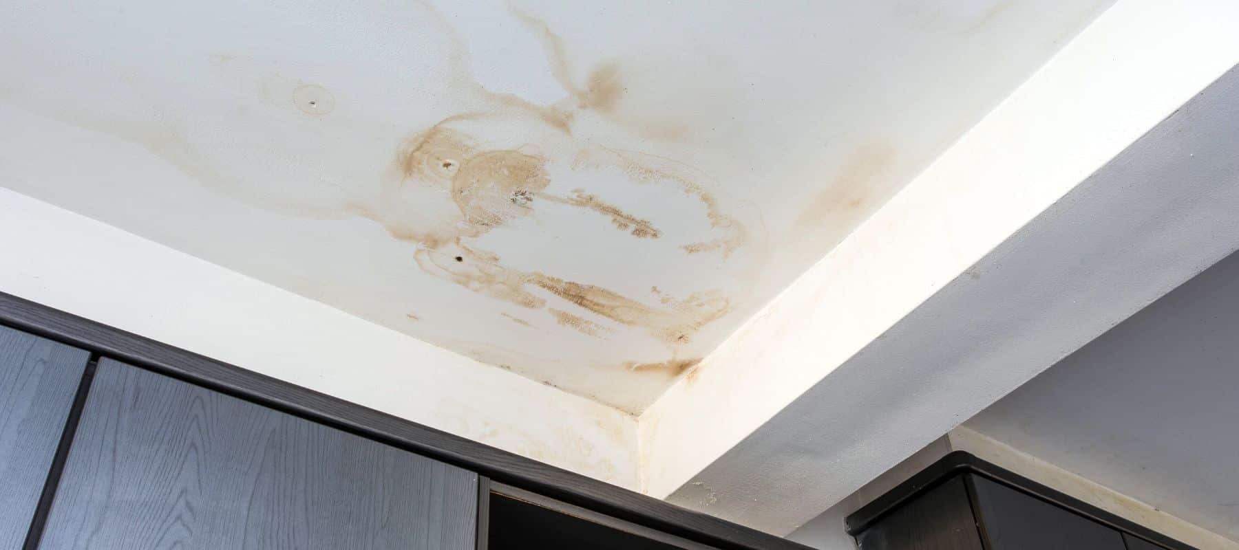 water stains on the ceiling